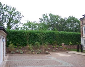 Acoustic Green Barrier living willow one side, woven willow on the other, 120mm RockDelta core