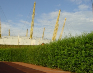 Non acoustic Green Barrier in living willow creating attractive walkway to O2 Arena