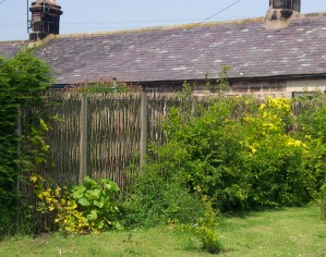 Non acoustic Green Barrier in woven willow used as screen between two gardens.